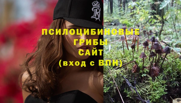 а пвп мука Армянск