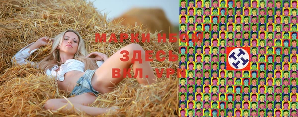амф Алексин