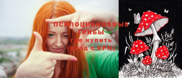 Альфа ПВП Алзамай