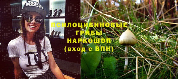 скорость Козельск
