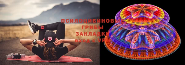 Альфа ПВП Алзамай