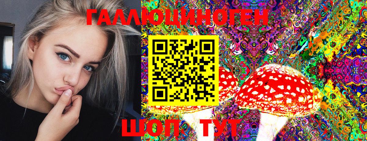 наркотики  Псилоцибиновые грибы Psilocybe  Вход с VPN  Уфа  Галлюциногенные грибы GOLDEN TEACHER 